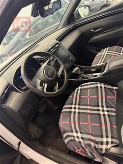 هيونداي سانتا كروز